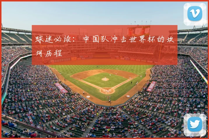 球迷必读:中国队冲击世界杯的坎坷历程