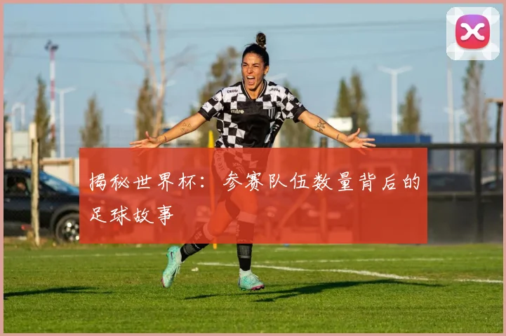 揭秘世界杯：参赛队伍数量背后的足球故事