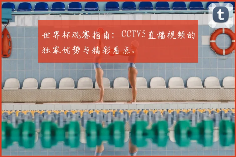 世界杯观赛指南:CCTV5直播视频的独家优势与精彩看点。