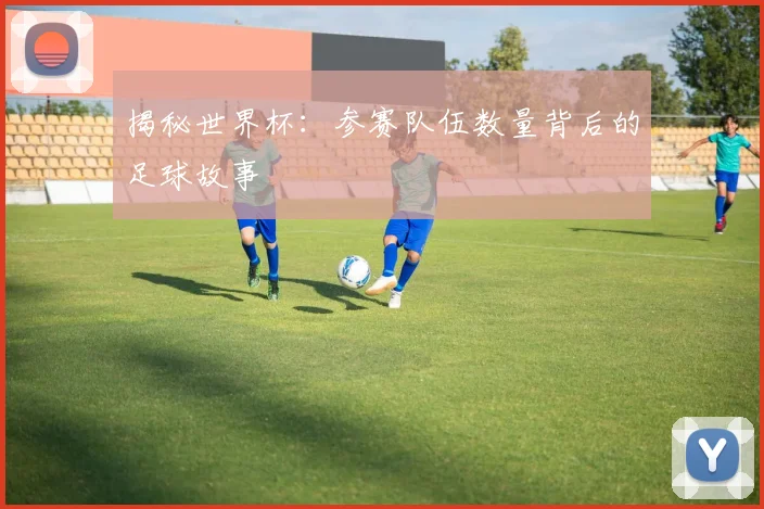 揭秘世界杯：参赛队伍数量背后的足球故事