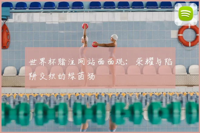 世界杯赌注网站面面观：荣耀与陷阱交织的绿茵场