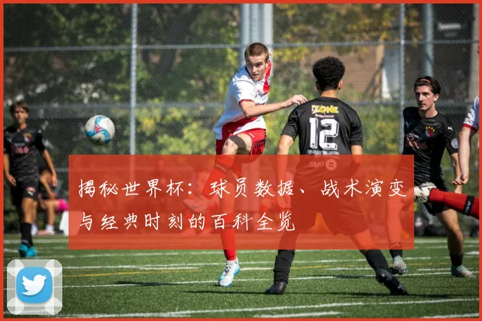 揭秘世界杯：球员数据、战术演变与经典时刻的百科全览
