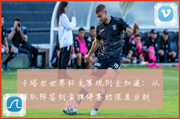 卡塔尔世界杯竞赛规则全知道：从球队阵容到黄牌停赛的深度分析