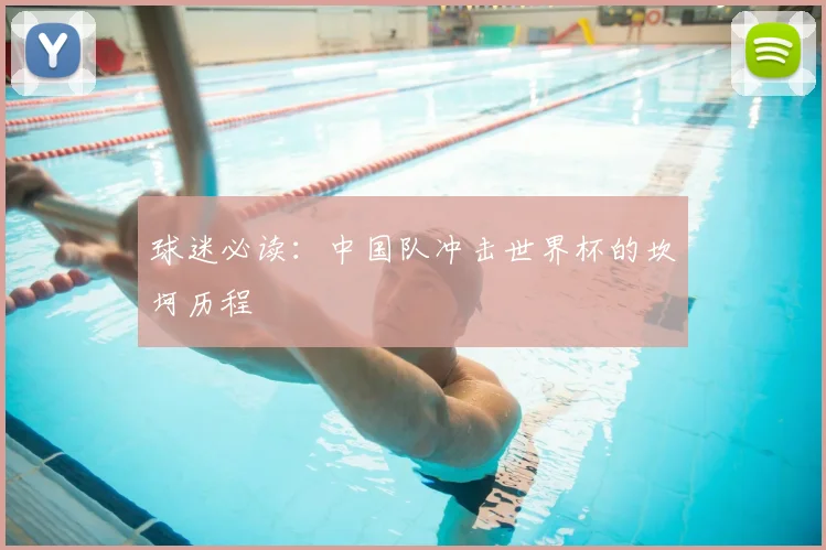 球迷必读:中国队冲击世界杯的坎坷历程