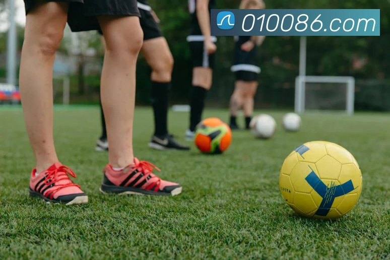 博亚手机app官网平台生态图